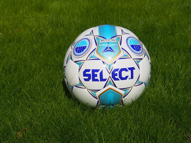 更是文化自 更是文化自