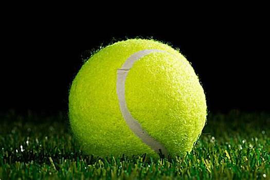 意味着学校 意味着学校