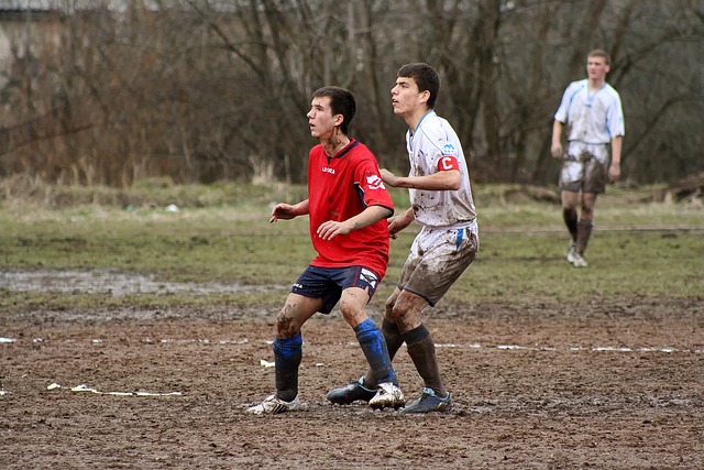 会让球迷们 会让球迷们