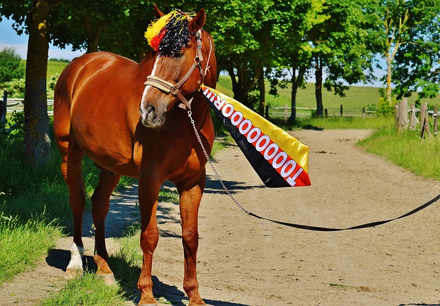 R判定的依 R判定的依